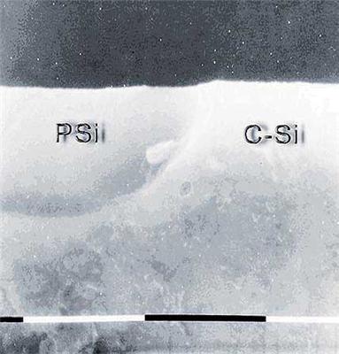 Cross-section SEM picture of Si wafer after the anodization process